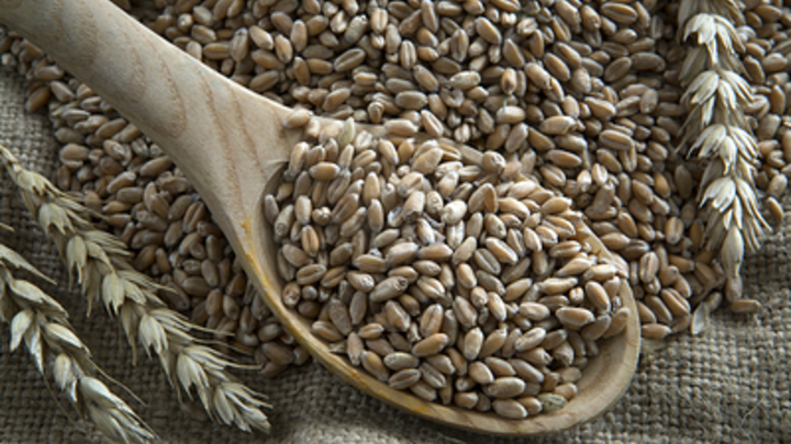 Политолог: Польские фермеры стали жертвой коррупционных схем ЕС и США