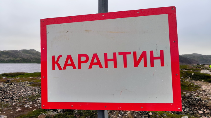 В Ростове с 4 октября появятся две карантинные зоны. Что случилось?