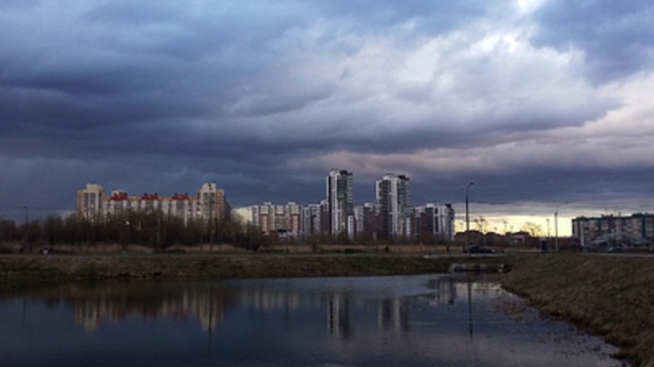 Администрация Тольятти раскрыла информацию о мероприятиях в рамках экологического надзора