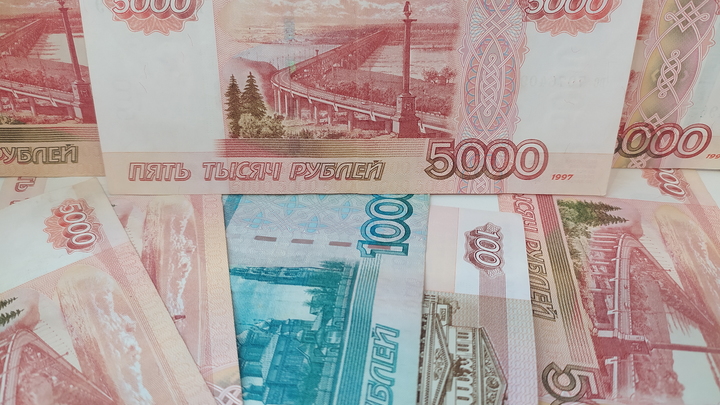 В Подмосковье мошенники ограбили пожилую семейную пару на 1,7 млн рублей