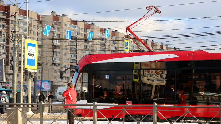 Росгвардейцы в Петербурге с начала года почти 40 раз выезжали из-за проблемных пассажиров в трамваях и троллейбусах
