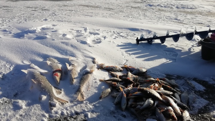 На водоемах Забайкалья вводится нерестовый запрет