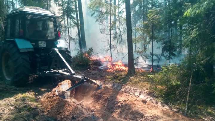 Не видно солнца: под Балашихой продолжают гореть леса