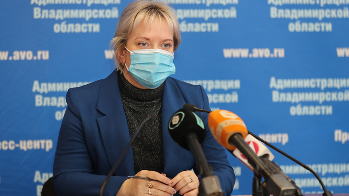 Директором департамента образования Владимирской области назначена Елена Запруднова