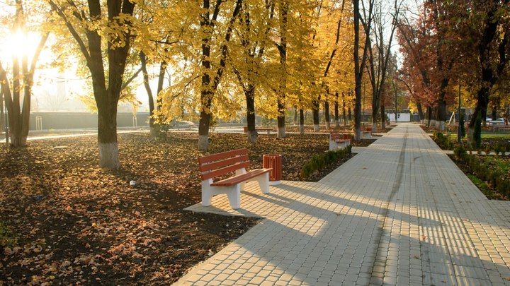 В Краснодаре в двух парках установят 50 новых лавочек до конца года