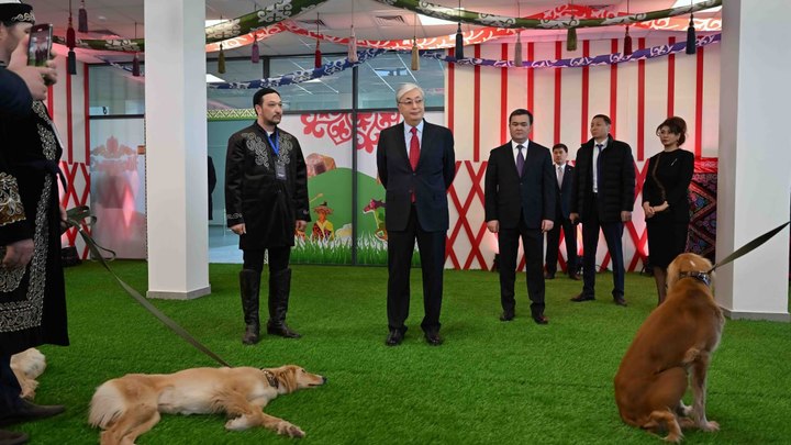 Появилась ещё одна тема для бесед с Путиным: Токаеву на Наурыз подарили щенка элитной породы