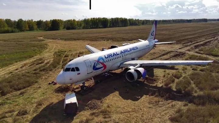 Поле с аварийно севшим самолётом рейса Сочи - Омск арендовали Уральские авиалинии