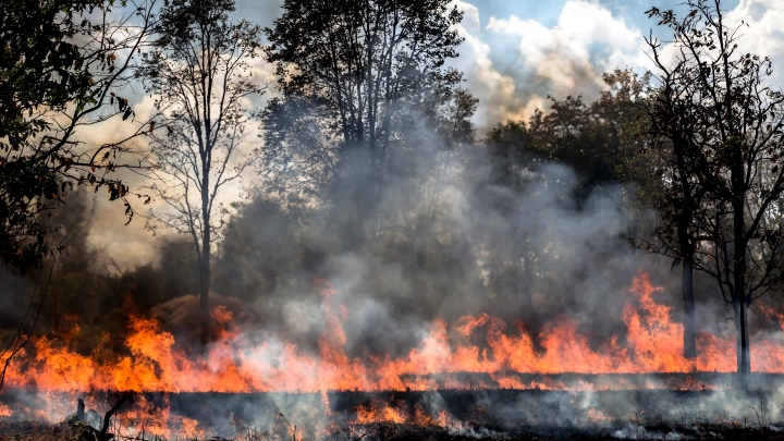 Симферопольский пожар: пламя охватило уже 40 гектаров