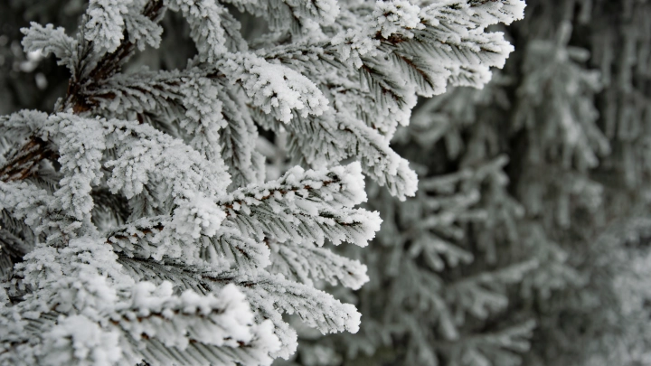 Шведский город переехал и столкнулся с экстремальными морозами