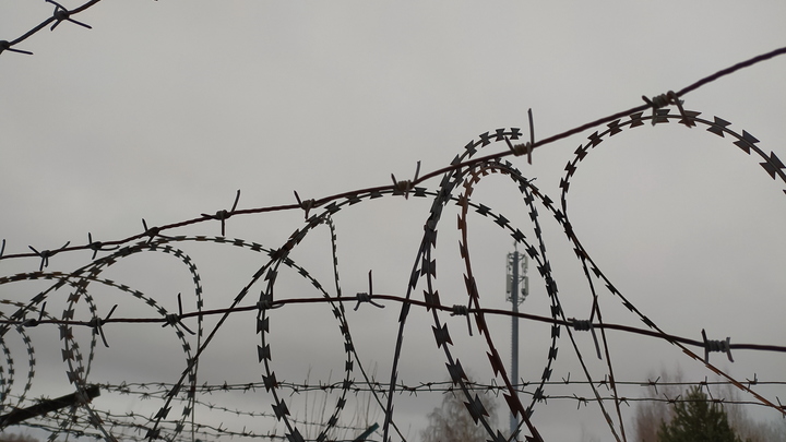 Наркоторговец из Эквадора отправится на 17 лет в исправительную колонию в России