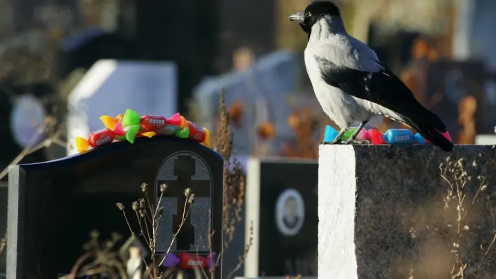 Священник: Чем грозит поедание конфет с могил