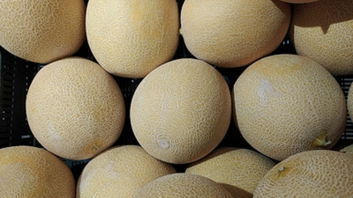 Как выбрать спелые дыни и арбузы: Советы от диетолога