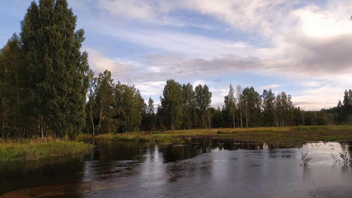 В Кривом Роге вышедшая из берегов река снесла мосты и переправу ВСУ