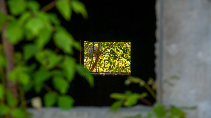 8 дней пробыла в подвале: Что случилось с многодетной матерью на Урале