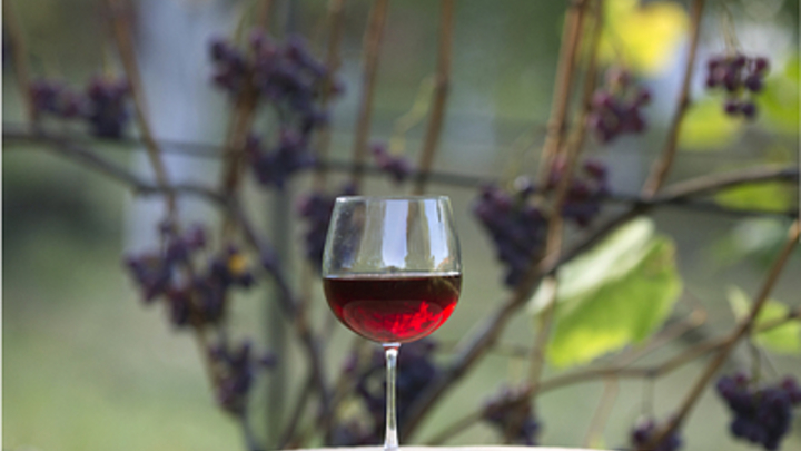 Эксперт назвал цену на действительно качественное вино. И это не цифра с тремя нулями