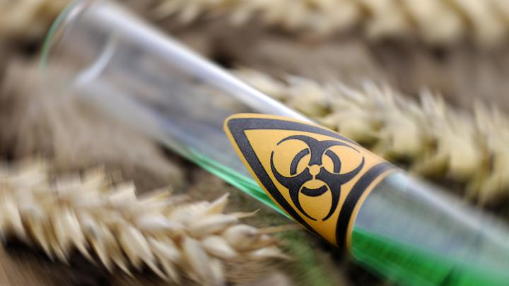 Оспу обезьян создали США? Минобороны России поделилось тревожным открытием