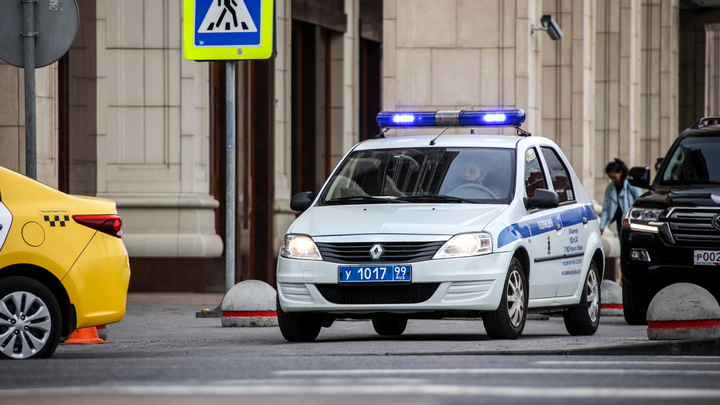 В Краснодаре 9-летнюю девочку за лицо укусил ротвейлер. Полиция проводит проверку