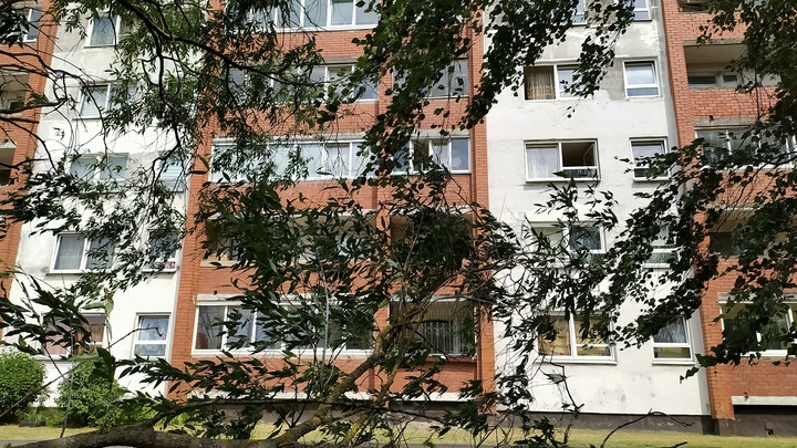 Берёзы в Петербурге не выдерживают натиска стихии: падают на машины и выбивают окна в домах