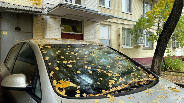 В Прикамье участников СВО освободили от уплаты транспортного налога