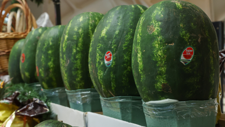 Арбузы не в сезон: стоит ли их есть и почему? Объясняет врач