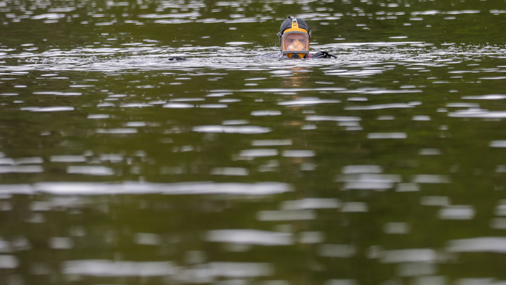 Увидели прохожие: жители Сочи заметили в реке тело человека