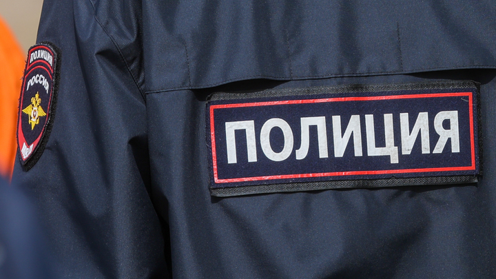 Ударивший девятилетнюю девочку в Люберцах оказался мигрантом-нелегалом