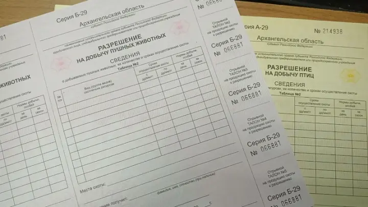 Сезон весенней охоты в Поморье: названы сроки, нормы и правила