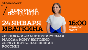 «Быдло» и «манипулируемая масса»: кому выгодно «оглуплять» население России?