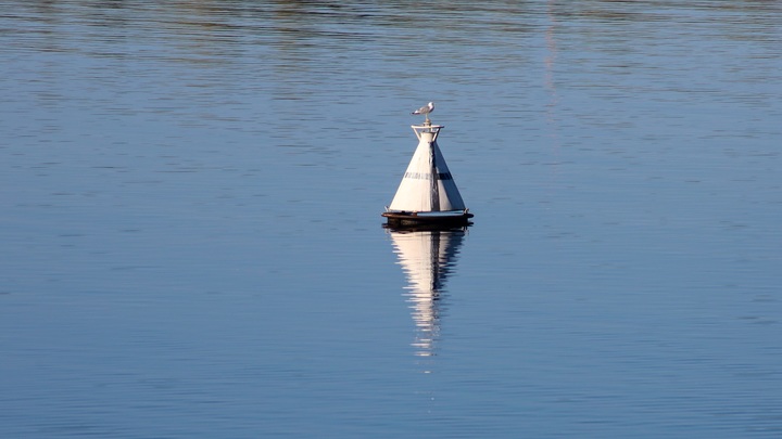 Страсти по буям: Почему Эстония так переживает из-за решения России, а Боррель грозит следить за нами