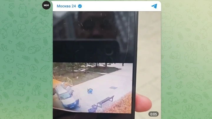 Выпавшее с 50-го этажа стекло повредило автомобиль и попало на видео