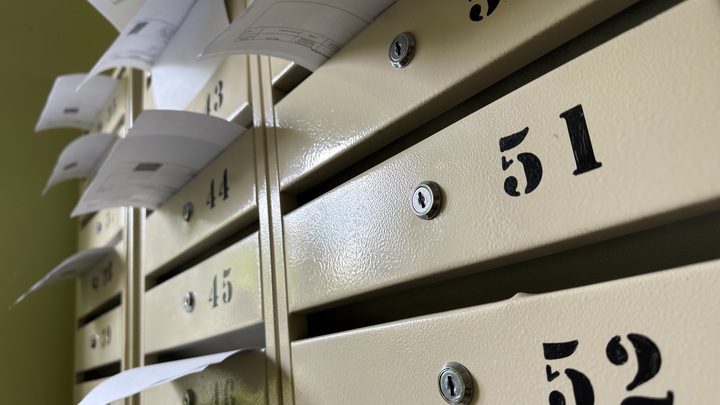 Особенности осеннего призыва - 2024: Куда повезут, где подать жалобу и сколько служить