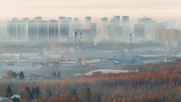 Лесные пожары опасны вдвойне. При чём тут коронавирус?