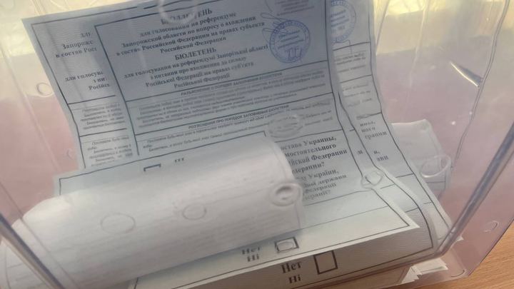 Глава Запорожской области проголосовал на референдуме