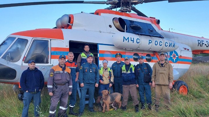 Стояла на болоте по пояс в воде: в Плесецком округе нашли пропавшую девочку
