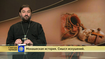 Святая правда: Монашеская история. Смысл искушений