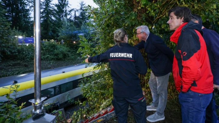 Крушение пассажирского поезда в Германии: Жертвы, поваленные деревья  - Что известно о ЧП
