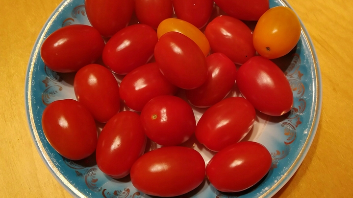 Страховка от болезни: Учёные открыли необычный эффект томатного сока