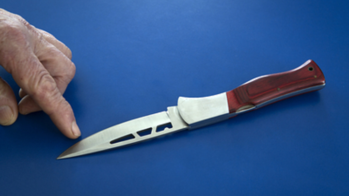 На телеведущую Милас завели уголовное дело после ранения подруги - источник