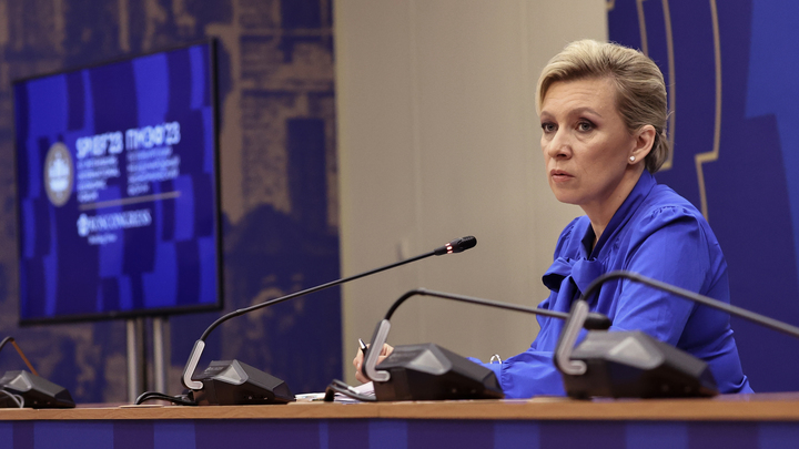 Кишинёв нервно отреагировал на укол от МИД России: Захарова объяснила русской поговоркой