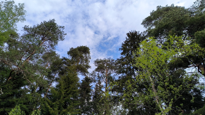 Ни дорог, ни чиновников: В Химках пропало здание администрации. Местные не стали молчать