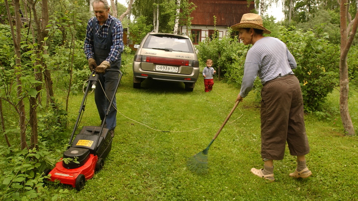 Костромская резня газонокосилкой: Дворники атакуют