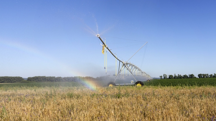 Вода из Северо-Крымского канала пригодна к использованию в сельском хозяйстве