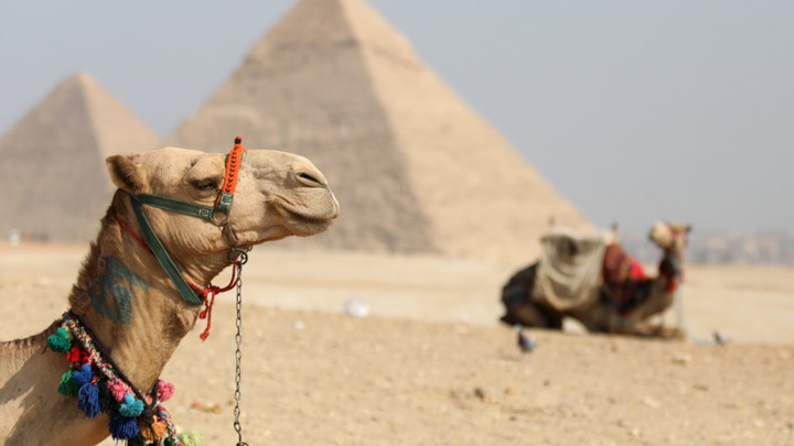 Любителям и Красного, и Средиземного морей: Египет удивит сразу двумя новыми курортами