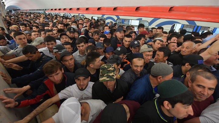 Бородачам приготовиться: Перла озвучил план решения проблемы мигрантов. Решение за властью