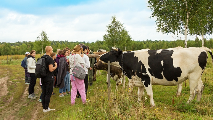 Бывший депутат в Волгоградской области отобрал у пенсионеров десятки коров