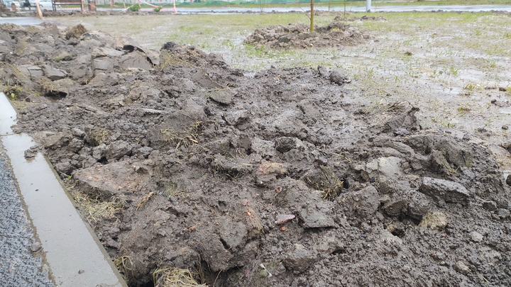 Швейцарцу удалось отобрать здания в Люберцах и сделать на этом бизнес