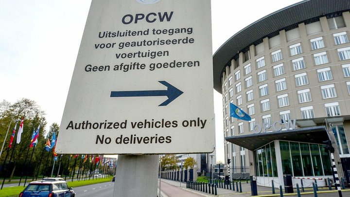 Есть что скрывать? Дипломат из России заявил об отказе ОЗХО сотрудничать по делу Навального