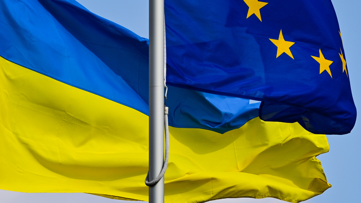 Ожидаемо и предсказуемо: Политолог раскрыла схему обогащения украинских властей