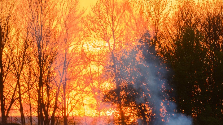 Выбежала только с паспортом: Жители сгоревшей деревни возмущены неторопливостью МЧС