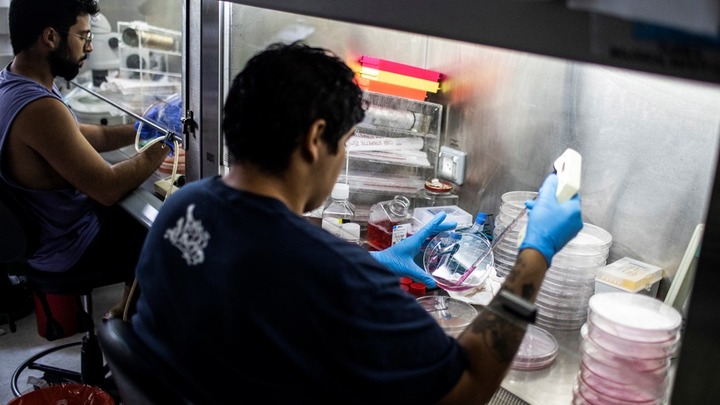 Ваших детей разберут на органы, и это законно: Безумный эксперимент Израиля